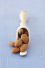 Almonds on wooden scoop — Stock Photo