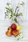 Frische Äpfel und Zweige — Stockfoto