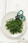 Fresh dill with scissors — Stock Photo