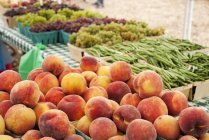 Свіжих персиків стиглі — стокове фото