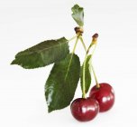 Cherries with stalks and leaves — Stock Photo