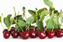 Cherries with stalks and leaves — Stock Photo