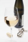 Glass of white wine — Stock Photo
