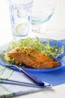 Salmone marinato con verdure — Foto stock