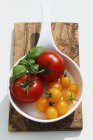 Tomates vermelhos e amarelos na tigela — Fotografia de Stock