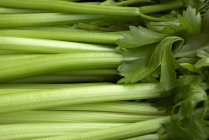 Fresh Celery stalks with leaves — Stock Photo