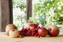 Apples with rosehips and rowan berries — Stock Photo