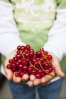 Hands holding heap of redcurrants — Stock Photo