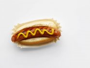 Hot dog with mustard on paper plate — Stock Photo