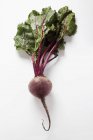 Fresh beetroot with leaves — Stock Photo