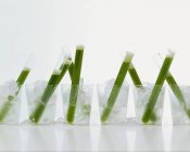Closeup view of peppermint shots with ice cubes in glasses — Stock Photo
