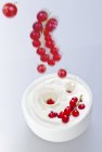 Groselhas vermelhas que caem em iogurte — Fotografia de Stock