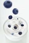 Vista da vicino dei mirtilli che cadono nella ciotola dello yogurt — Foto stock