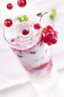 Layered yogurt dessert — Stock Photo