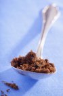 Spoonful of brown sugar — Stock Photo