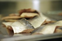 Filetes de pescado blanco fresco - foto de stock