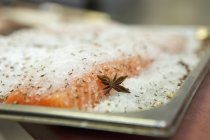 Closeup view of Gravlax with fish and spices in ice — Stock Photo