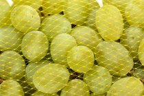 Green grapes in net — Stock Photo