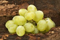 Freshly washed green grapes — Stock Photo