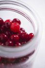 Jar of fresh cranberries — Stock Photo