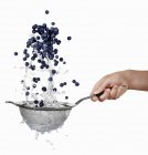 Woman washing blueberries in sieve — Stock Photo