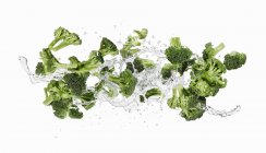 Brócoli y salpicaduras de agua - foto de stock