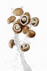 Pilze mit Spritzwasser — Stockfoto
