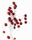 Cherries with splash of water — Stock Photo
