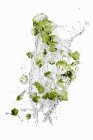 Brócolis românico com salpicos de água — Fotografia de Stock