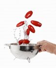 Tomates de ameixa de lavagem — Fotografia de Stock