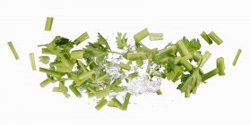 Fresh Celery with water splash — Stock Photo