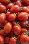 Tomates Roma rojos maduros - foto de stock