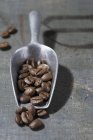 Coffee beans on metal scoop — Stock Photo
