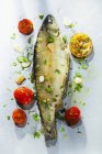 Fried trout with herbs — Stock Photo