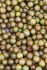 Closeup view of raw Muscadines heap — Stock Photo