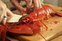 Closeup cropped view of hands cutting cooked lobster on halves — Stock Photo