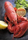 Vue rapprochée du homard cuit avec des moitiés de citron — Photo de stock