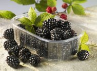 Blackberries in plastic container — Stock Photo