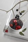 Closeup view of rose hips and sloe berries — Stock Photo