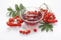 Rowan berry jelly — Stock Photo