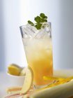 Vue rapprochée de refroidisseur Andalousie avec citron amer et sherry — Photo de stock