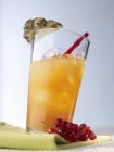 Cóctel con vodka y zumo de frutas - foto de stock