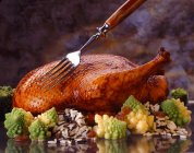 Roast duck and wild rice — Stock Photo