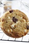 Cookie горіха макадамії — стокове фото