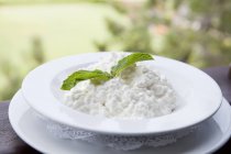Bowl of Cottage Cheese — Stock Photo