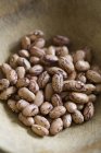 Raw Borlotti beans — Stock Photo