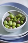 Olive appena raccolte — Foto stock