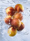 Nectarinas en salpicaduras de agua - foto de stock