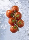 Tomates de videira em água corrente — Fotografia de Stock