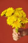 Vue rapprochée d'une main tenant un bouquet de pissenlits jaunes — Photo de stock